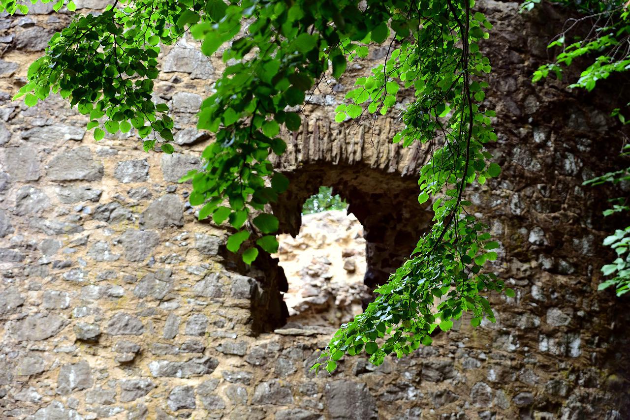 Burgruine Hilgartsberg – Kultureller Anziehungspunkt