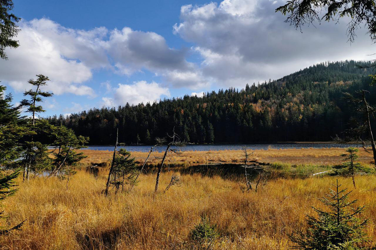 Der große Arbersee 
