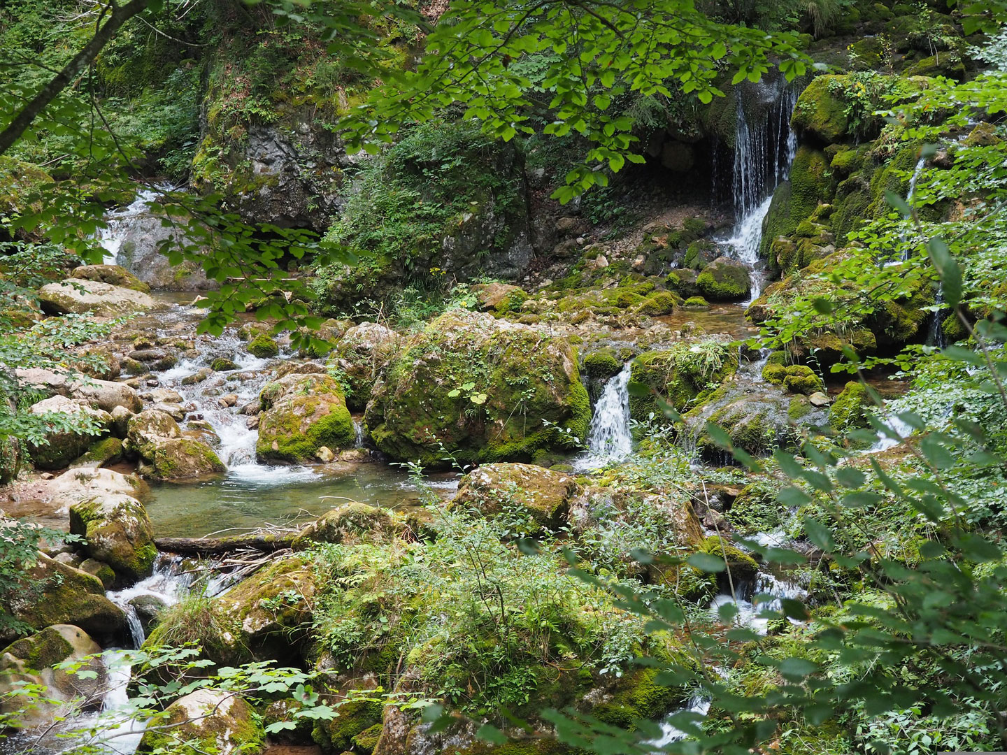  Wildromantische Steinklamm