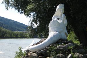 Wandern ab Jochenstein in die Donauleiten