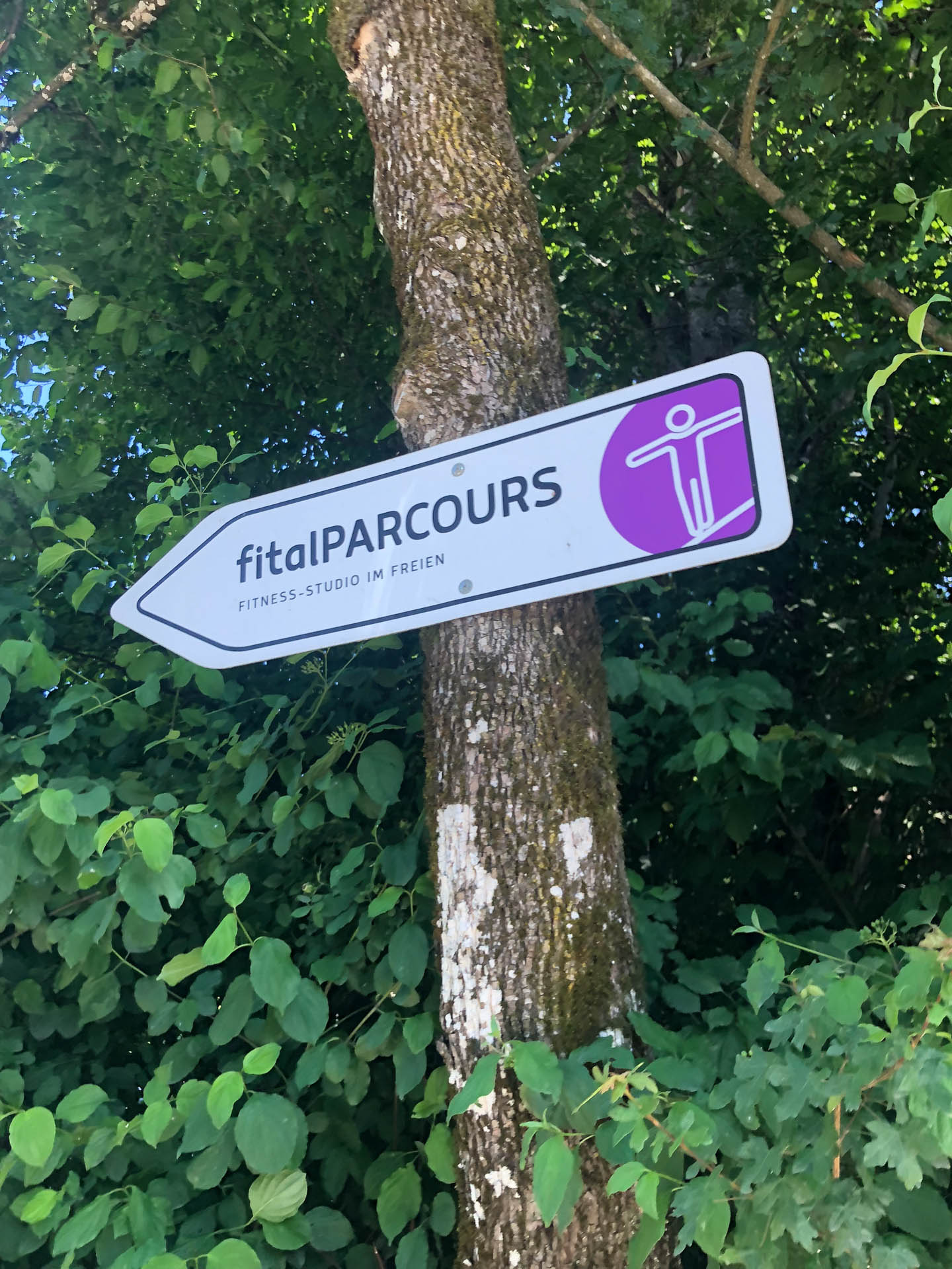 fitalParcours am Freudensee