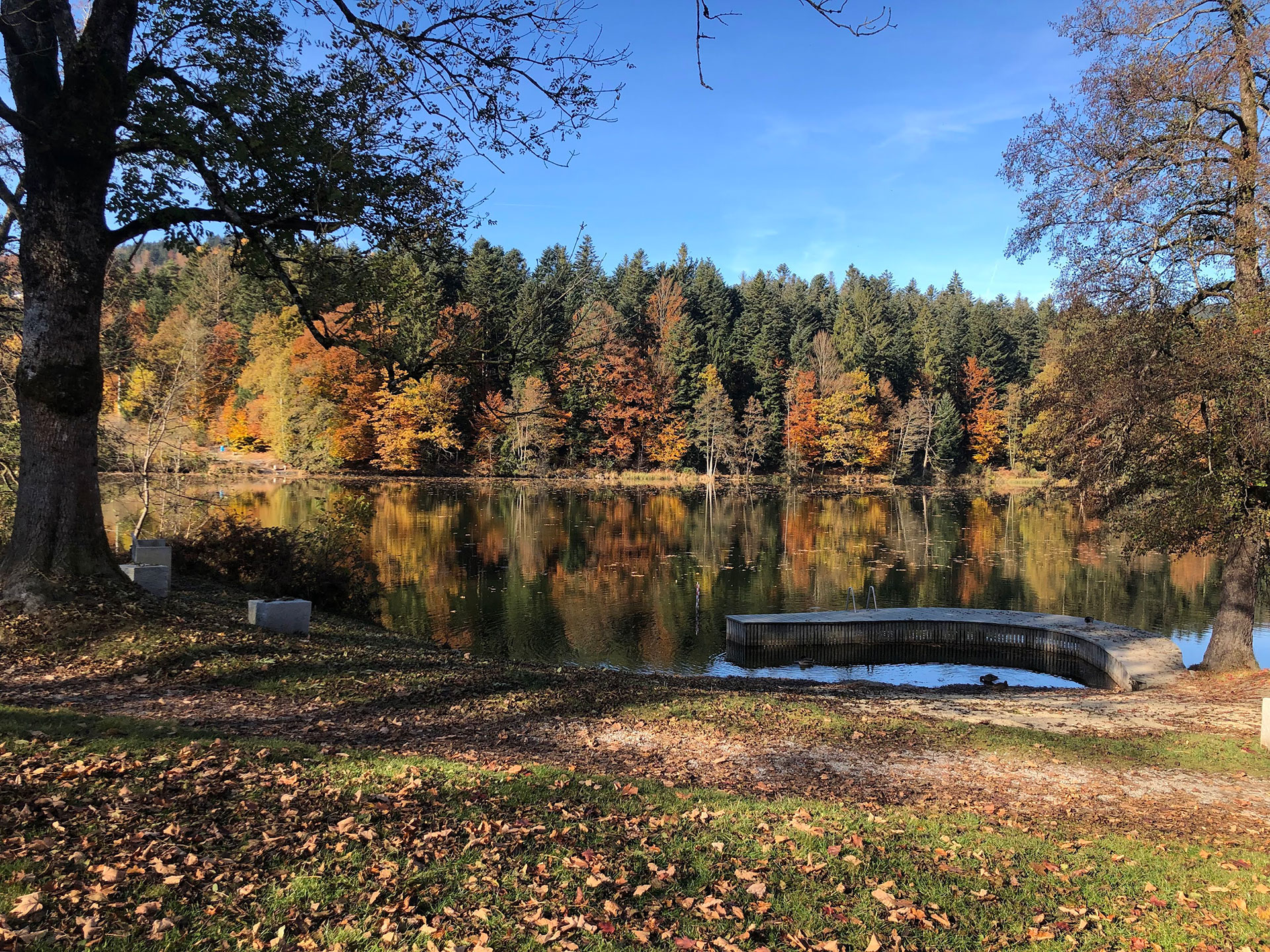 Steg 1 am Freudensee