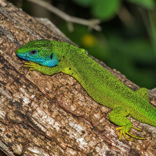HL Haus am Strom Passau