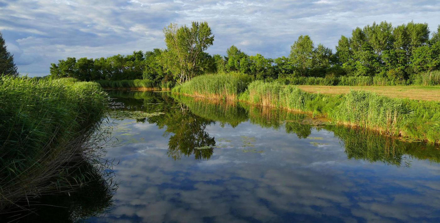 Windorf mit Donauinsel