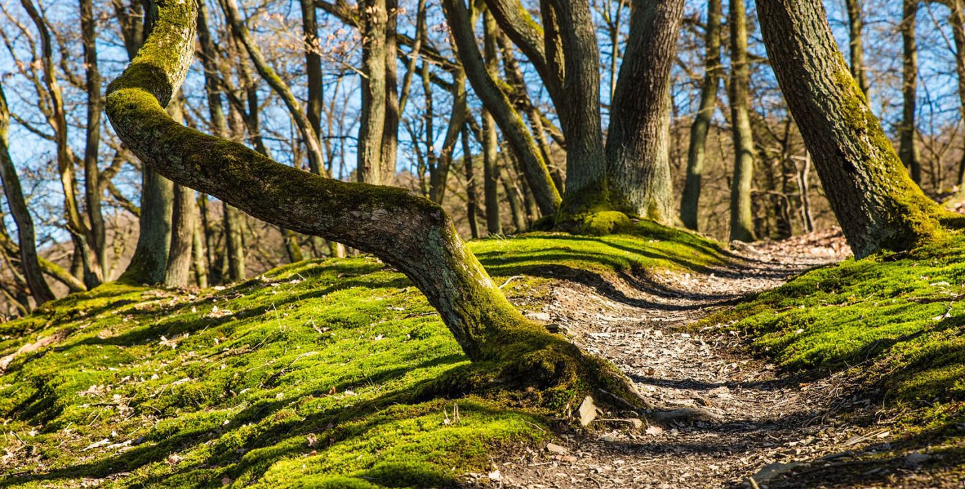 Wanderung am Schmugglerweg