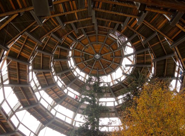 Wo ist es am schönsten im Bayerischen Wald?