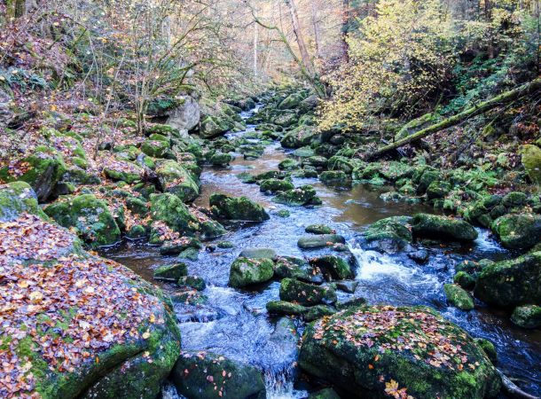 Wildbachklamm - Buchberger Leite
