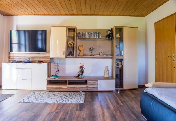 living room of the apartment | entertainment