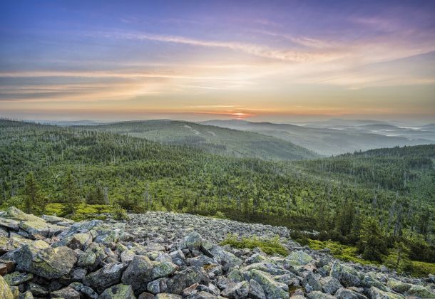 Lusen Bayerischer Wald Video