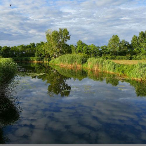 Windorf mit Donauinsel