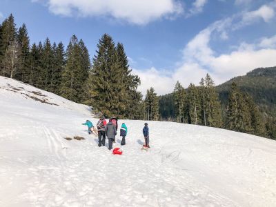 Rodeln am Geiersberg