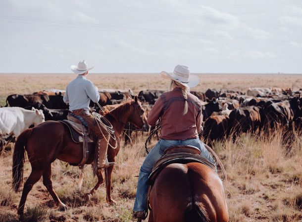 Pullman City Rinderkurs