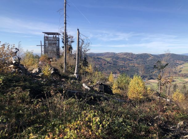 Ferienwohnung im Bayerischen Wald nähe Tschechien