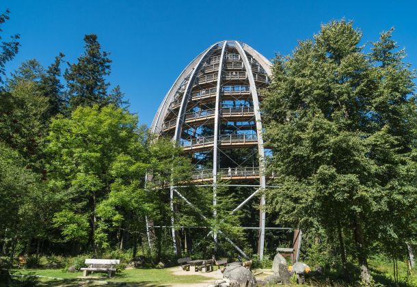 Baumwipfelpfad Bayerischer Wald Video