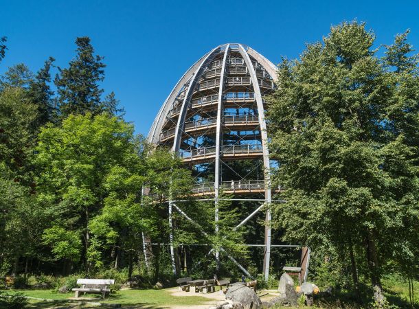 Baumwipfelpfad Bayerischer Wald