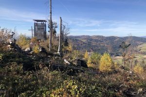 Ferienwohnung im Bayerischen Wald nähe Tschechien