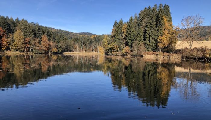 Ferienwohnung Bayerischer Wald mit Sauna