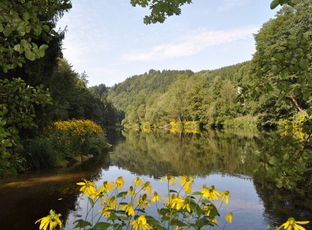 Rundwanderung an der Ilz