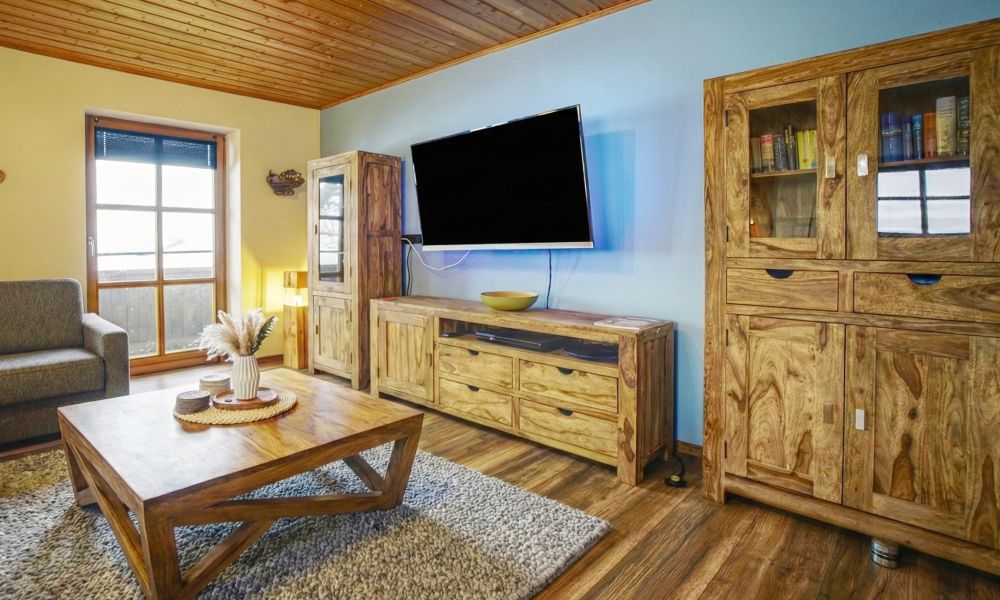 Premium Ferienwohnung - das Wohnzimmer 