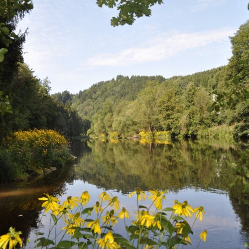 Rundwanderung an der Ilz