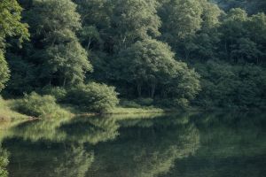 Rannassee: Tipps für Ausflüge in Hauzenberg für Familien