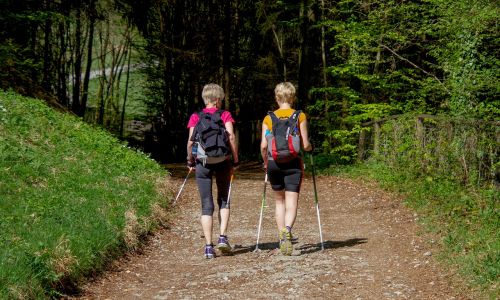 Einfach Nordic Walking oder Joggen um den Freudensee