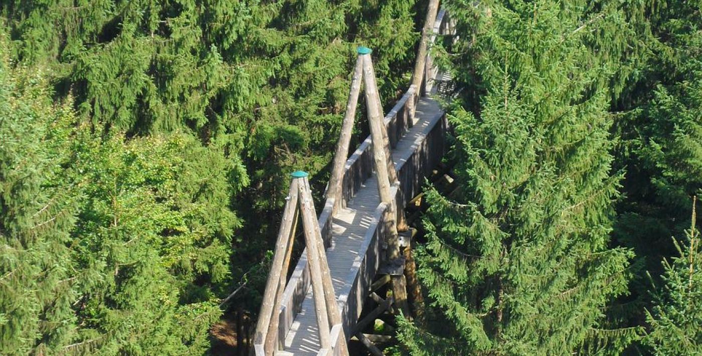 Baumkronenweg Kopfing