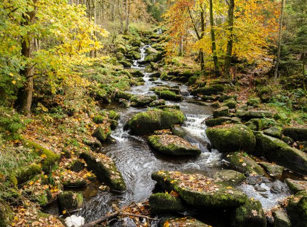 Saußbachklamm Waldkirchen