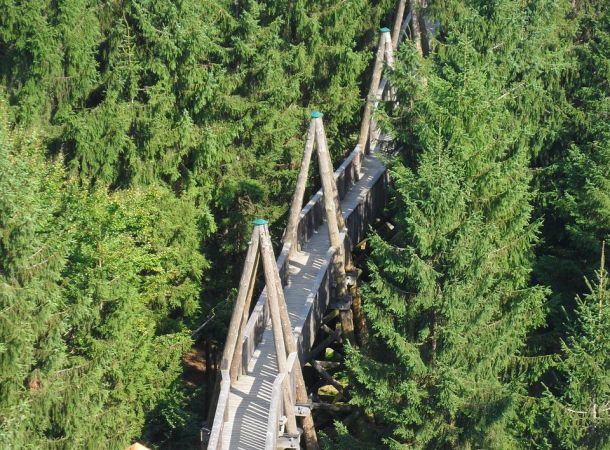 Baumkronenweg Kopfing besuchen