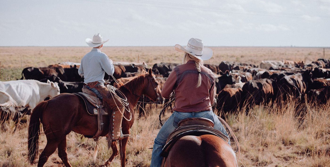 Pullman City Rinderkurs