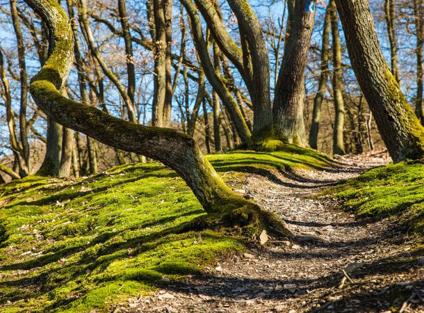 Wanderung am Schmugglerweg