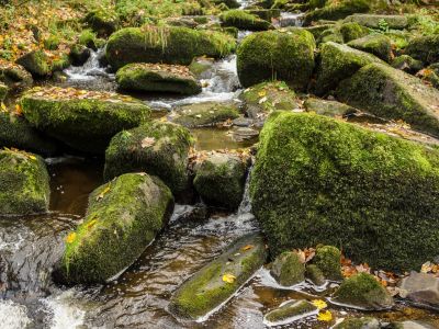 Genießen Sie die wunderbare Saußbachklamm