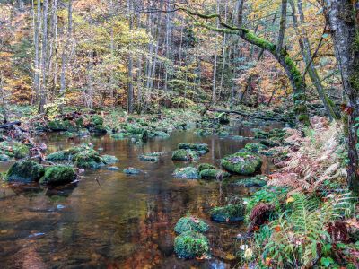 Sch&ouml;nheit der Natur entlang der Buchberger Leite genie&szlig;en