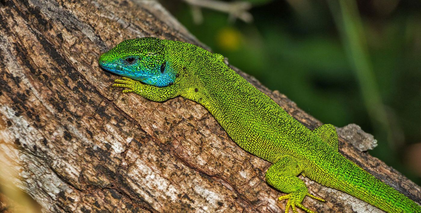 HL Haus am Strom Passau