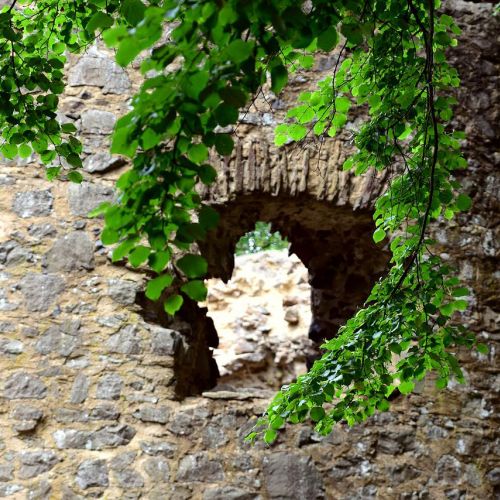 Burgruine Hilgartsberg &ndash; Kultureller Anziehungspunkt