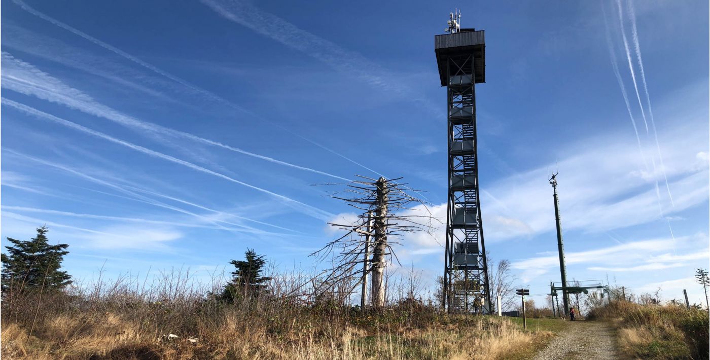 Aussichtsturm Oberfrauenwald
