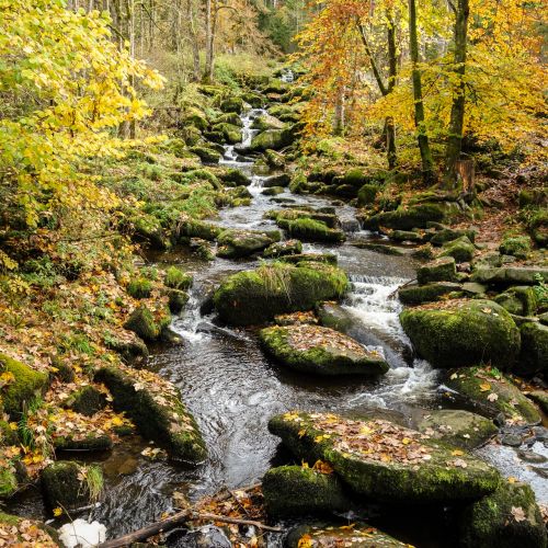 Saußbachklamm Waldkirchen