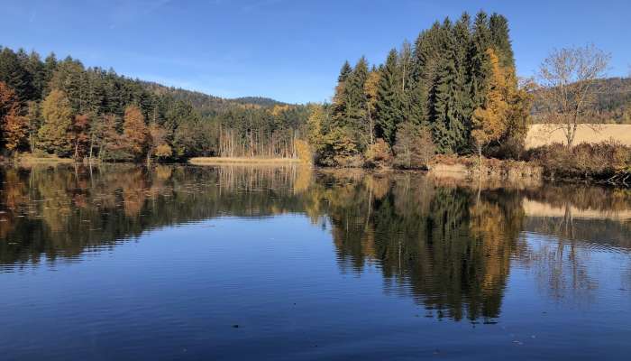 Ferienwohnung Bayerischer Wald mit Sauna