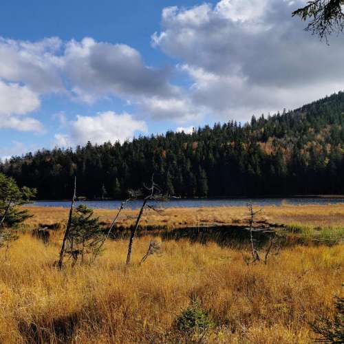 Der große Arbersee