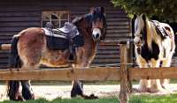 Reitanlage HK Sunwood Barns