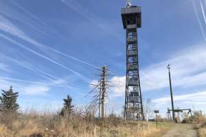 Aussichtsturm Oberfrauenwald