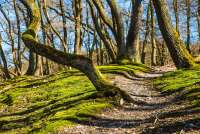 Wanderung am Schmugglerweg