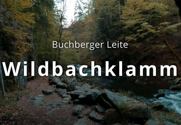 Lusen Bayerischer Wald Video