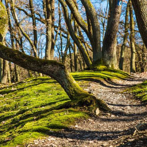 Wanderung am Schmugglerweg