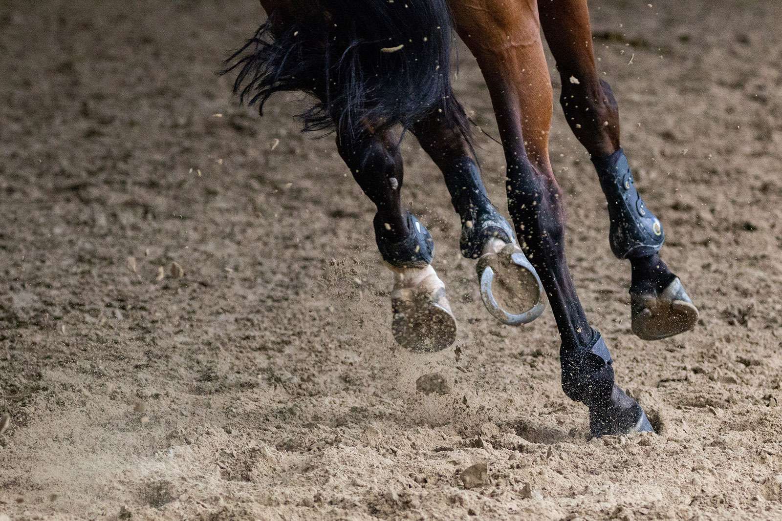 Reining Reitkurs
